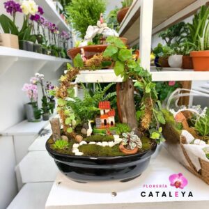 Bonsai paisaje