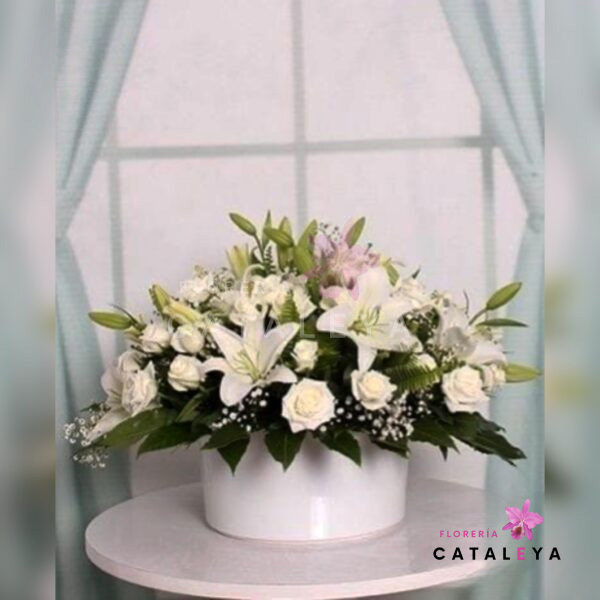 BOX ESPECIAL CONDOLENCIAS