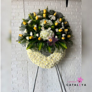 CORONA LIDIA