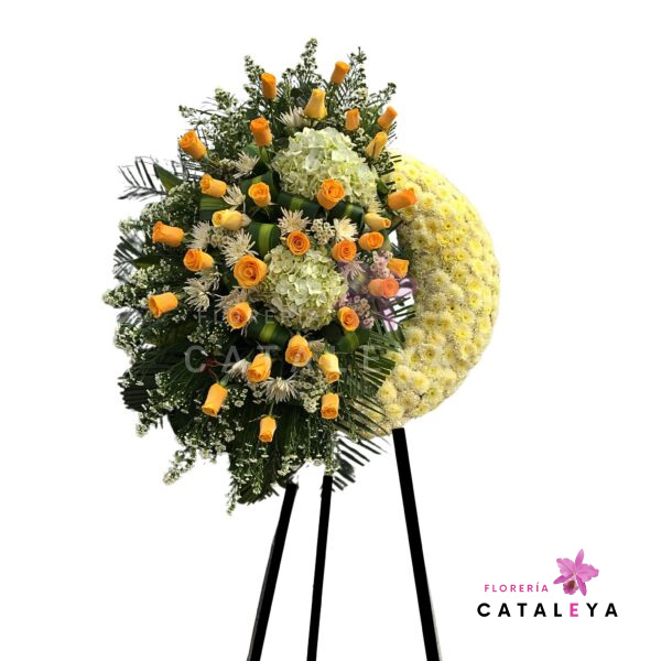 CORONA MEDIA LUNA AYSE