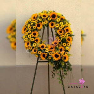CORONA PICAROMA LILY
