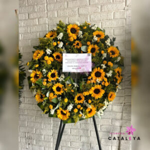 CORONA PICARONA ESPECIAL GIRASOL