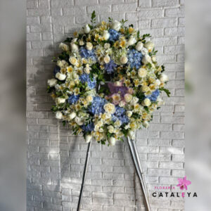 CORONA PICARONA ESPECIAL TOMMY