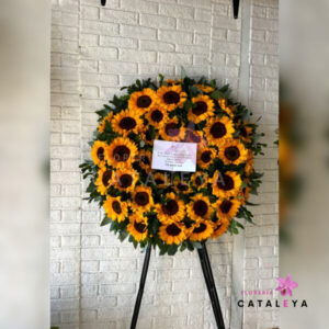 CORONA PICARONA PREMIUM GIRASOL
