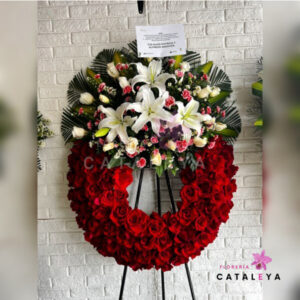 CORONA PREMIUM MORE