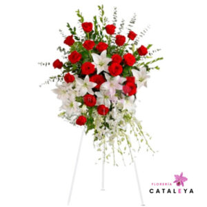 Condolencias