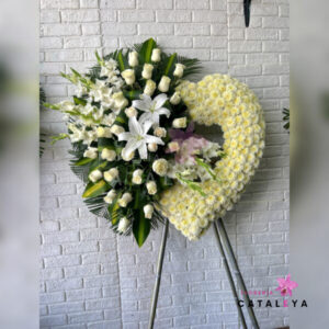 COROZÓN PREMIUM BLANCA