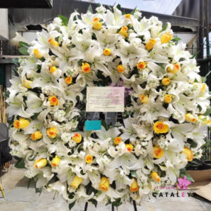 PICARON FUNEBRE PAZ PREMIUM